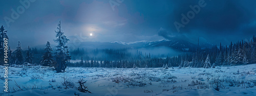 panoramic view of snowcovered field with spruce forest on background, mountains in the distance, moonlight, blue tones, night, foggy weather, panorama, high resolution photography