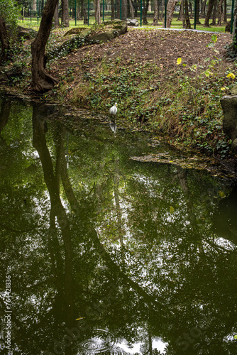 Parque Chapultepec Ciudad de M  xico 