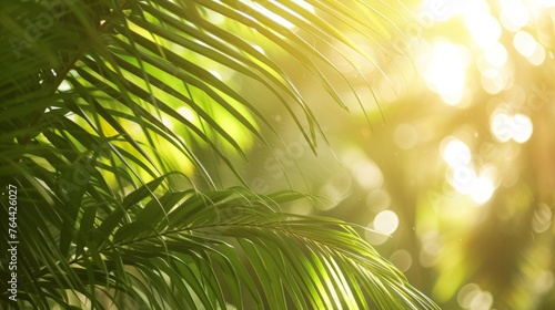 summer background tropical palm trees © megavectors