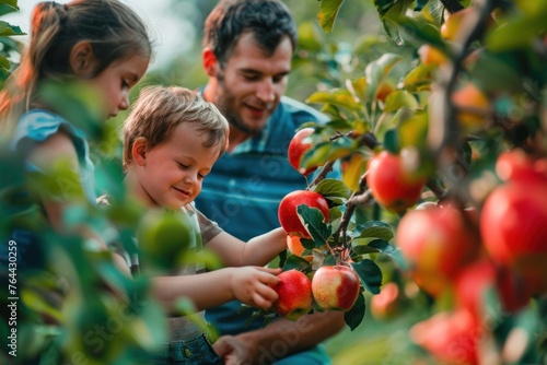 A young family with two children picking ripe red apples from a tree in an orchard. photo