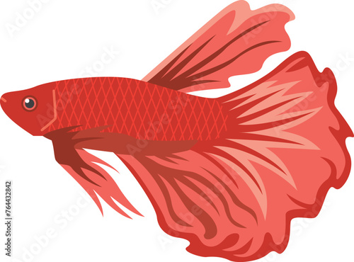 赤色熱帯魚ベタのイメージイラスト