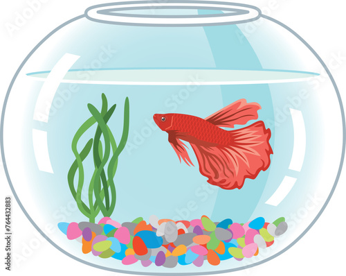 水槽で泳いている熱帯魚ベタのイメージイラスト