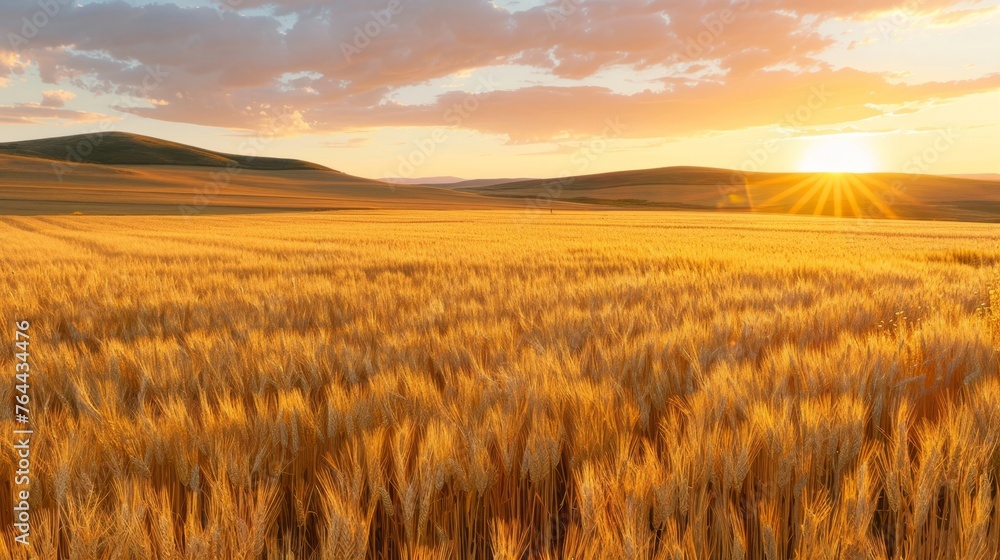 Obraz premium summer background