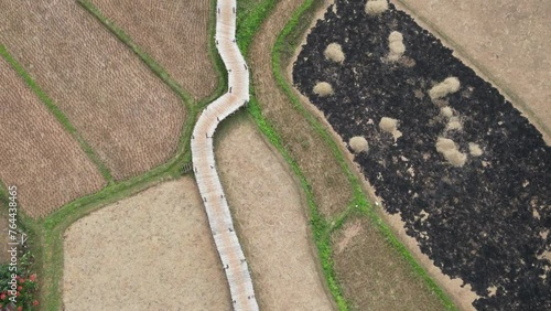 Top view of the bamboo bridge to the village. Passing through the middle of rice fields is a beautiful natural place. Located in Phrae Province, Thailand.