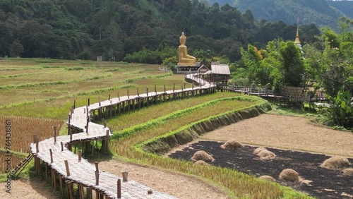 Top view of a bamboo bridge to white pagoda and Phra Chao Ton Luang a large outdoor golden Buddha statue. Sitting in the middle of a rice field at Wat Nakhuha there are beautiful natural places. 