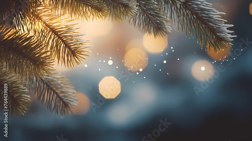 Close-up of Christmas pine branches under defocused lights