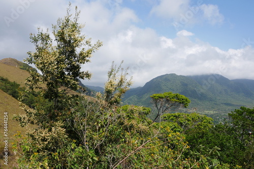 Tropische Natur in El Valle de Antón in Panama