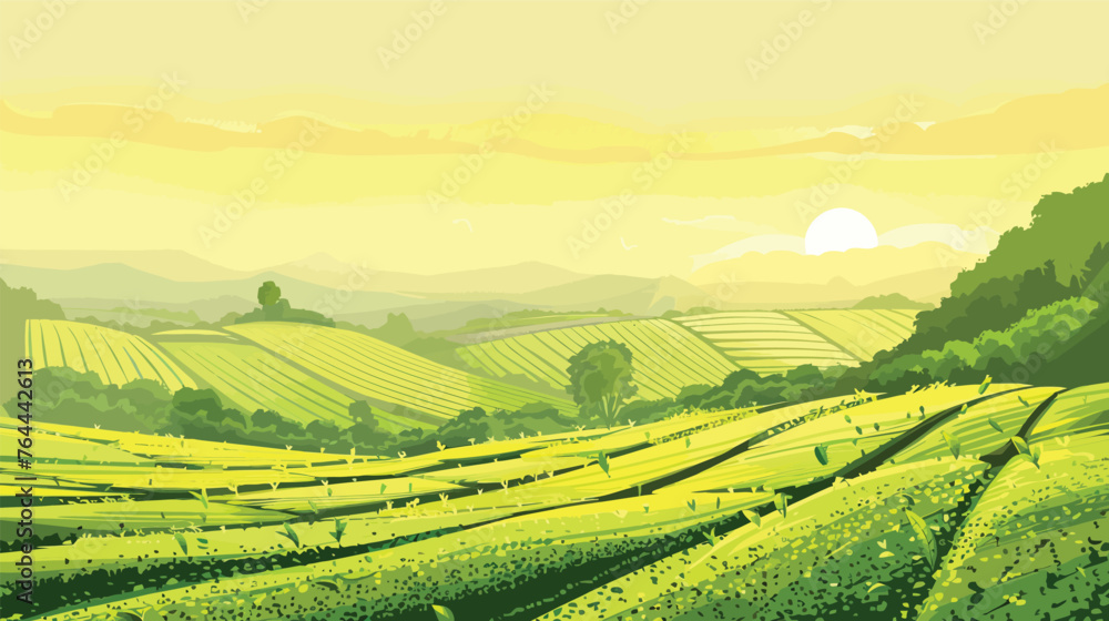 Obraz premium Green tea plantation landscape. Rural farmland fields, Terraced farmer, hills with greenery and mountain on horizon