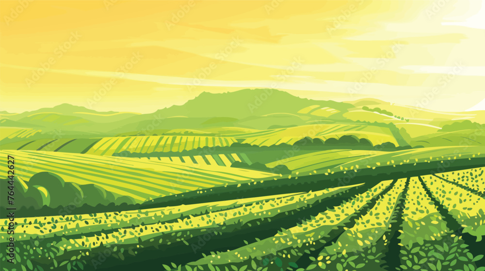 Obraz premium Green tea plantation landscape. Rural farmland fields, Terraced farmer, hills with greenery and mountain on horizon