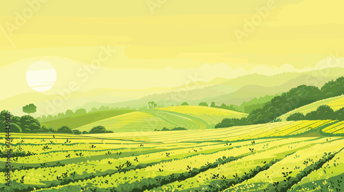 Green tea plantation landscape. Rural farmland fields, Terraced farmer, hills with greenery and mountain on horizon