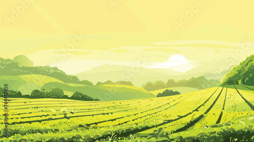 Green tea plantation landscape. Rural farmland fields, Terraced farmer, hills with greenery and mountain on horizon