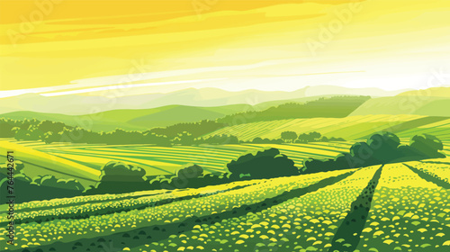 Green tea plantation landscape. Rural farmland fields, Terraced farmer, hills with greenery and mountain on horizon