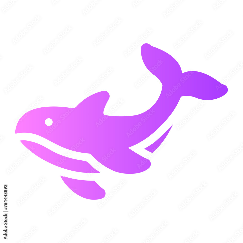 killer whale killer whale