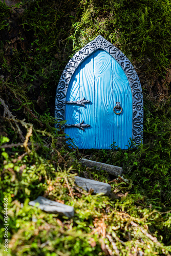 small blue door made of polymer clay on in nature like a fairy house close up