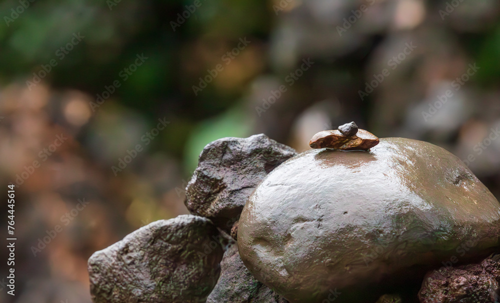 Small stones soaked in rain found in the mountains.