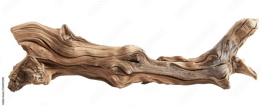 Various textured pieces of driftwood on white background. Isolated. Cutout.