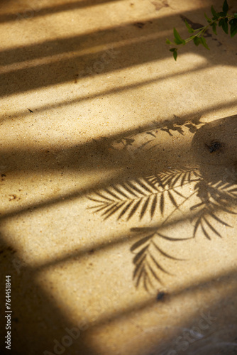 Comfortable rest by the sunny window. A background with sunlight and shadows that can be used in various designs.