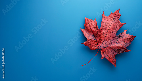 Autumnal Maple Leaves Frame  Seasonal Fall Design on Nature Background