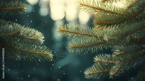 Christmas background with pine branches and bokeh lights