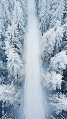 A drone's bird's eye view captures an empty forest road and snow-covered trees amidst the beauty of winter. © Phoophinyo