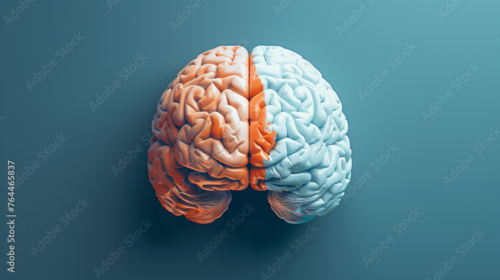 Blue Right Brain and Red Left Brain, Venus and Mars Concept Blue Right Brain and Red Left Brain, Venus and Mars Concept