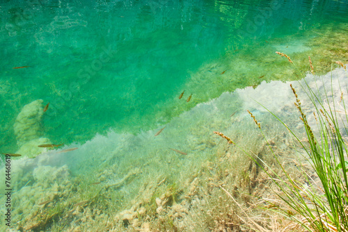 Cool clear turquoise pool with small fish in Croatia