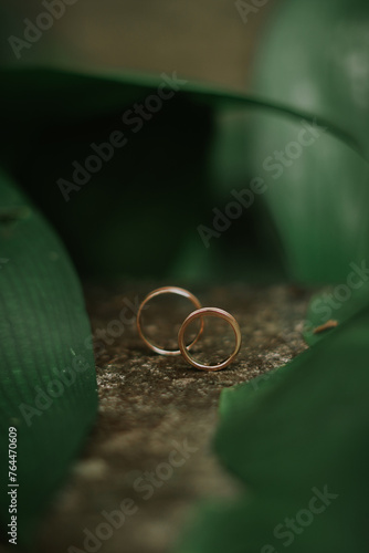 wedding rings on a green leaf