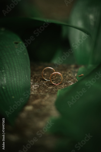 wedding rings on a green background