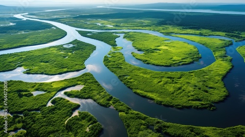 aerial view of a river delta with lush green vegetation and winding waterways