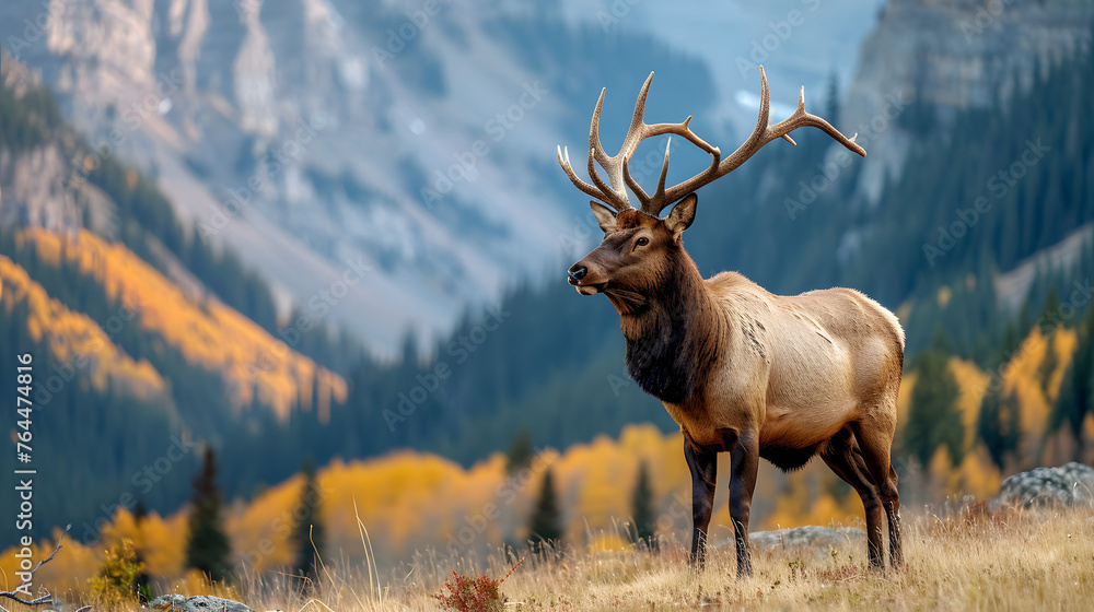 These majestic creatures in mountain valleys, capturing the grandeur of their natural habitat These majestic creatures in mountain valleys, capturing the grandeur of their natural habitat