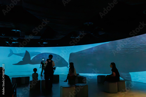 鯨類解説スクリーン。
巨大で美しいマッコウクジラ（マッコウクジラ目）、ザトウクジラ（ナガスクジラ科）、アマゾンカワイルカ（アマゾンカワイルカ科）、ハンドウイルカ（マイルカ科）、セミクジラ（セミクジラ科）、イッカク（イッカク科）。

日本国神奈川県川崎市、カワスイにて。
2023年9月4日撮影。

Cetacean Interpretive Screen.
Amazon river dolphin, photo