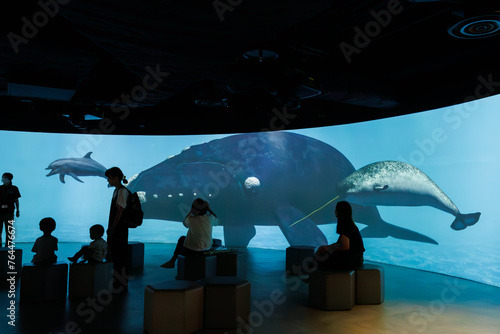 鯨類解説スクリーン。
巨大で美しいマッコウクジラ（マッコウクジラ目）、ザトウクジラ（ナガスクジラ科）、アマゾンカワイルカ（アマゾンカワイルカ科）、ハンドウイルカ（マイルカ科）、セミクジラ（セミクジラ科）、イッカク（イッカク科）。

日本国神奈川県川崎市、カワスイにて。
2023年9月4日撮影。

Cetacean Interpretive Screen.
Amazon river dolphin,