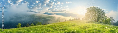 Mountain meadow in the dawn light. Countryside springtime panorama with fog-covered valley behind the woodland on the grassy slope. Fluffy clouds against a brilliant blue sky. Nature Freshness Concept