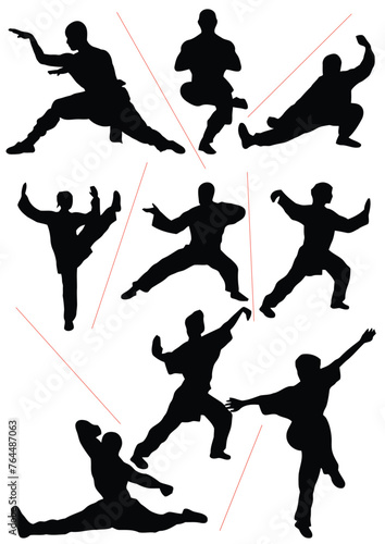 Silhouette of people isolated on white background. Wushu, kung fu, Taekwondo, Aikido. Sports positions. Design elements and icons. Hand drawn Vector illustration