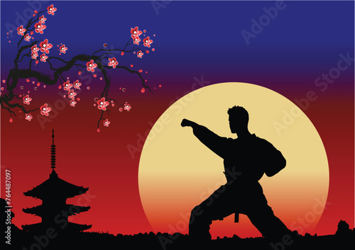 Oriental combat sports. Wu-shu. Colored 3d vector hand drawn illustration.