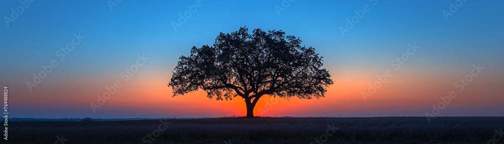 Silhouette of a tree at dawn, nature's sentinel against the sky
