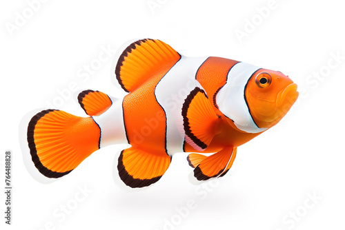 Clown fish on a white background. Undersea animals. Illustration, Generative AI.
