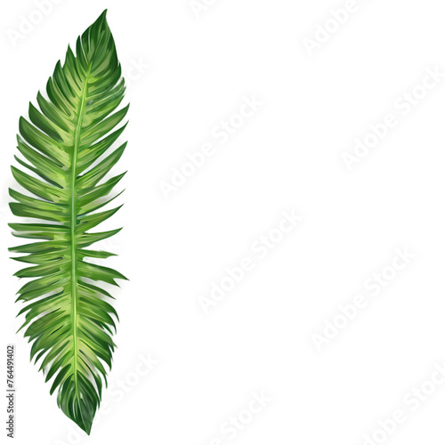 Tropical palm leaf border with exotic jungle foliage Transparent Background Images