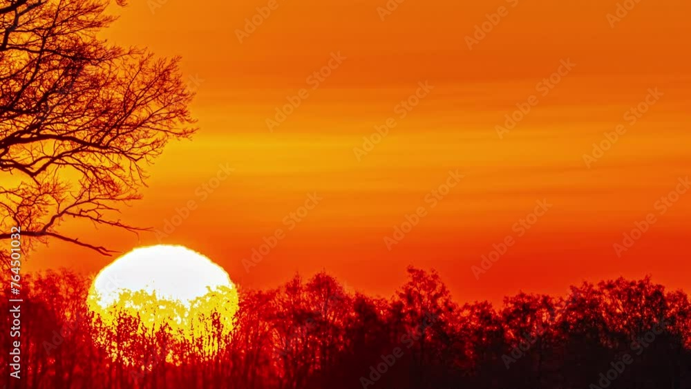 Moonrise In A Vibrant Yellow Sky With Clouds. Night Sky Natural Color. Timelapse Moonrise In A Vibrant Yellow Sky With Clouds. Night Sky Natural Color. Timelapse