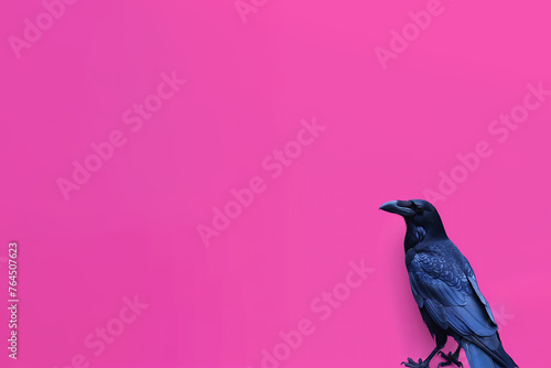 corbeau noir de profil, oiseau considéré comme maléfique et malveillant sur fond rose vif avec espace négatif copy space. Halloween moderne et féminin photo