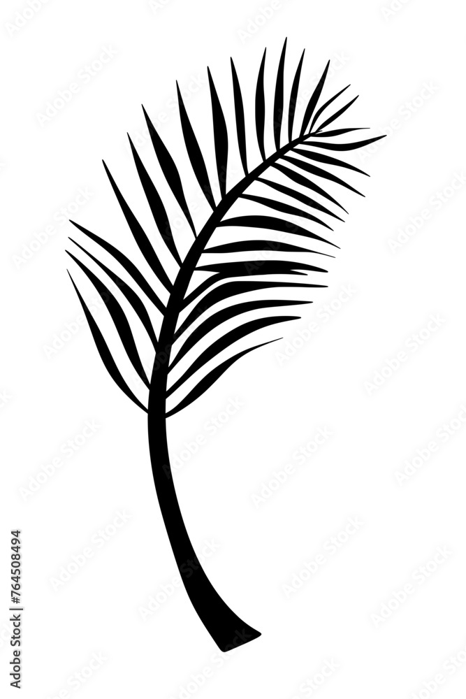 Fototapeta premium Tropical palm leave plant shadow natural minimal