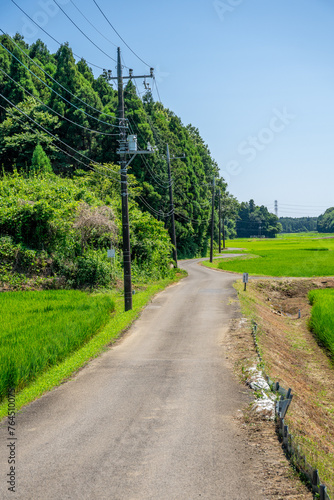 田園風景