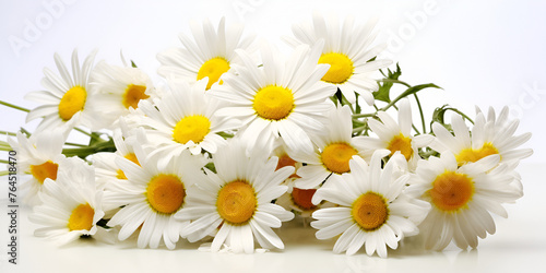 daisies on white flower with yellow with some green leaves nostalgic enchanting dreamy with white background © Safia