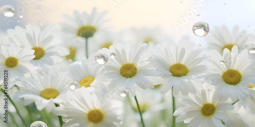 daisies in a field white flower aesthetic dreamy enchanting graceful with water background