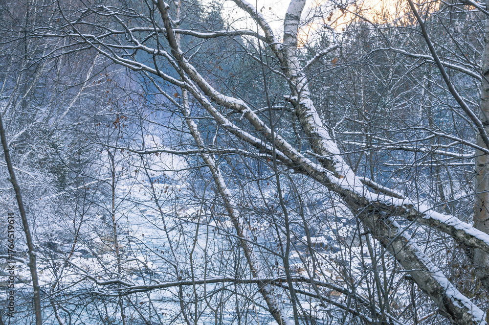 Snow-covered trees In winter, a river can be seen behind the trees. Winter landscape in a mountainous area Snow-covered trees In winter, a river can be seen behind the trees. Winter landscape in a mountainous area
