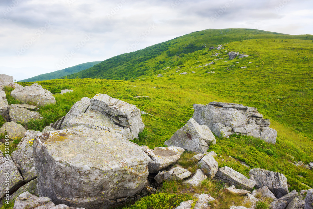 mountain landscape with stones and rocks. nature scenery of carpathian alpine highlands. grassy meadows on an overcast day mountain landscape with stones and rocks. nature scenery of carpathian alpine highlands. grassy meadows on an overcast day