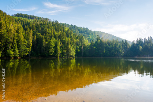 lake of synevyr national park in summer. forested hills of carpathian mountains reflecting on the calm water surface. sunny weather. popular travel destination of ukraine