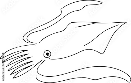 シンプルなイカの線画の魚