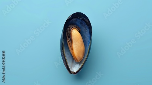  A mussel close-up, reflecting blue on a blue surface