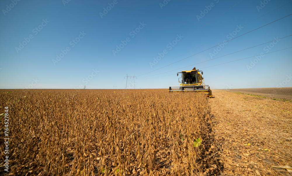 Naklejka premium Harvesting of soybean